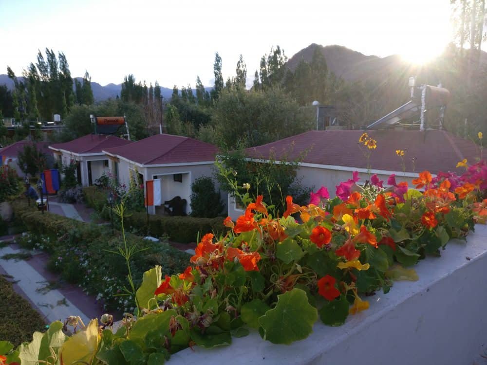 The Zen Hotel, Leh Ladakh