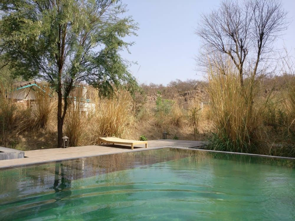 Trees & Tigers Wildlife Resort (Sariska)