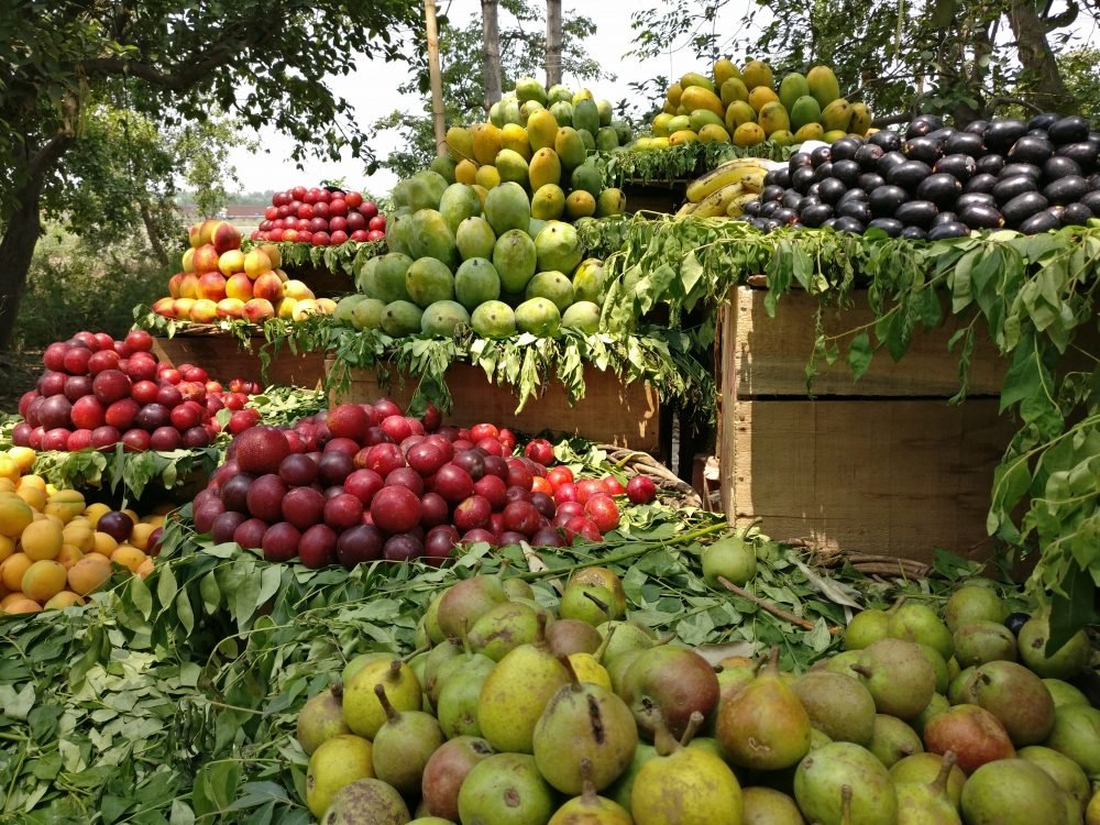 Pick Fruits From The Fruit Stand Mukteshwar