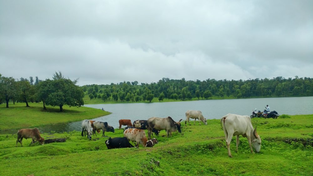 Jai Sagar Dam Jawhar Maharashtra