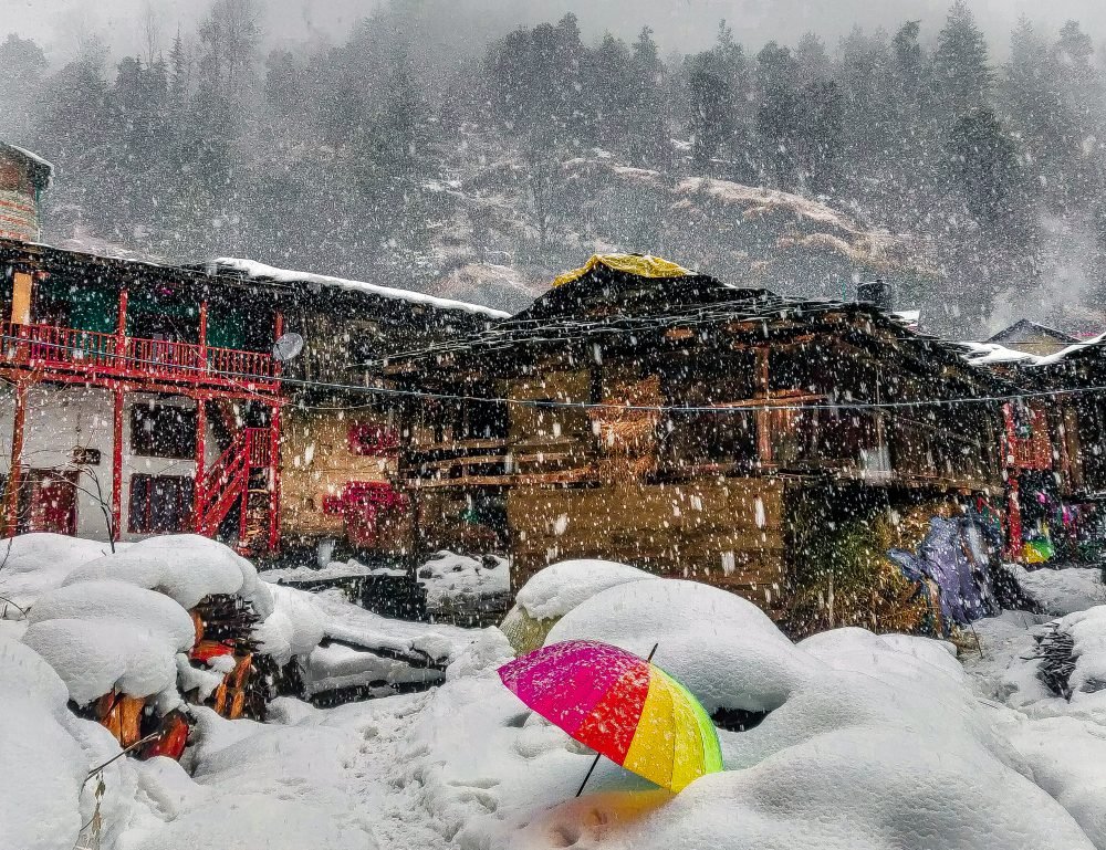 Manali India And Snow