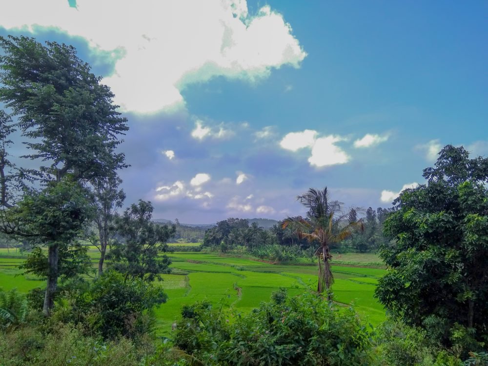 Kollimalai Hills Foothills