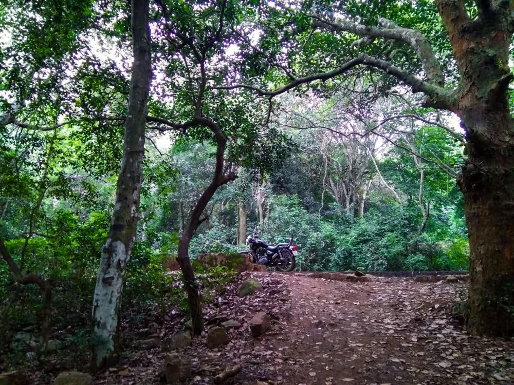 Kollimalai Hills Trail Hidden Viewpoint