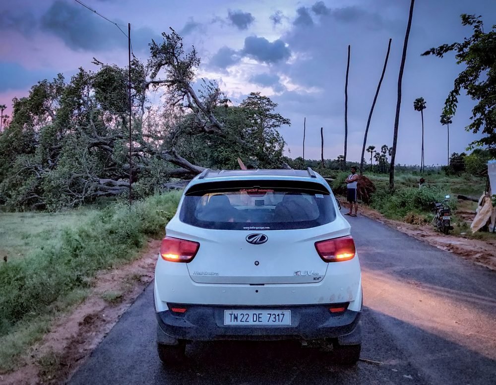 A Huge Tree Uprooted Completely Blocking The Road