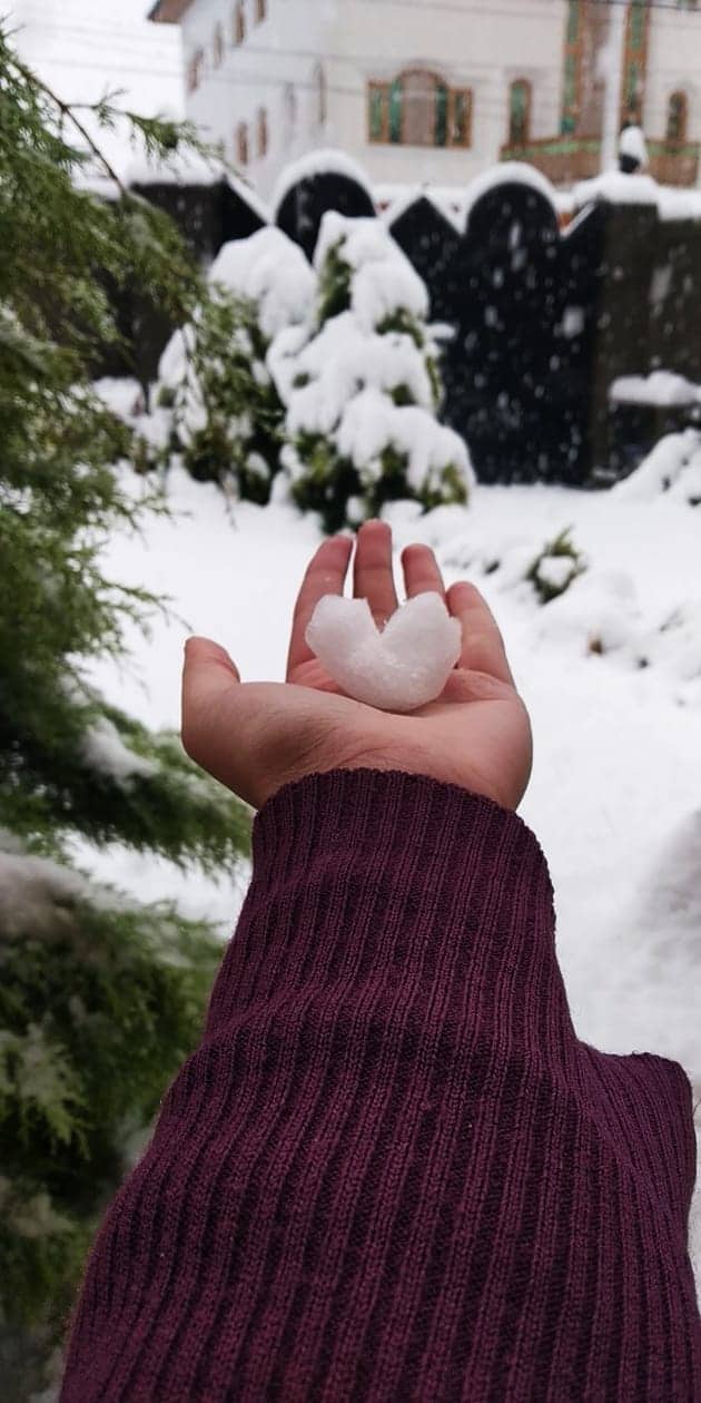 Kashmir Snow And Snowfall