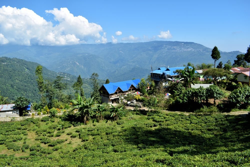 The Gorgeous Property Of Rajeshwari Homestay Skirted With Mountains