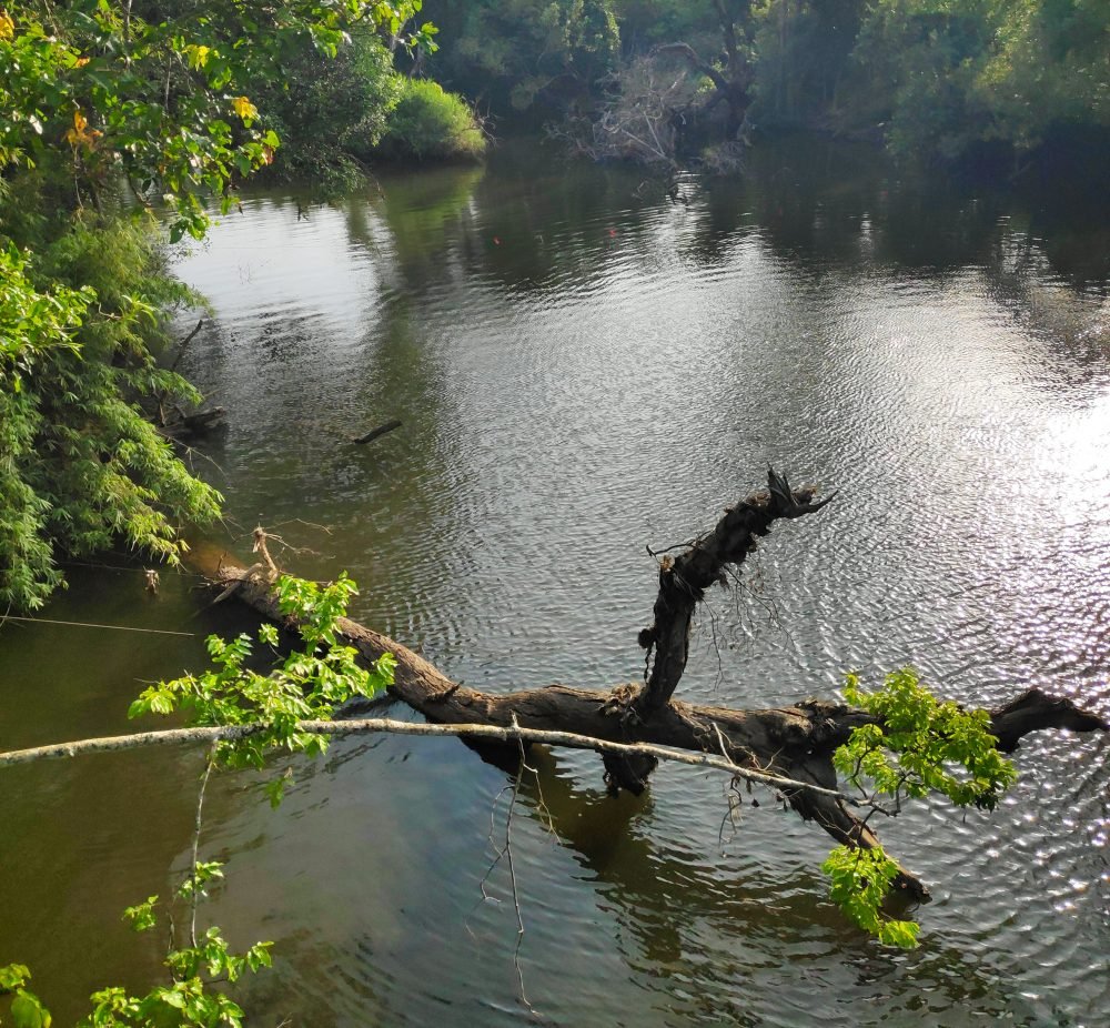 Kaveri River Nisargadhama And Harangi Backwaters