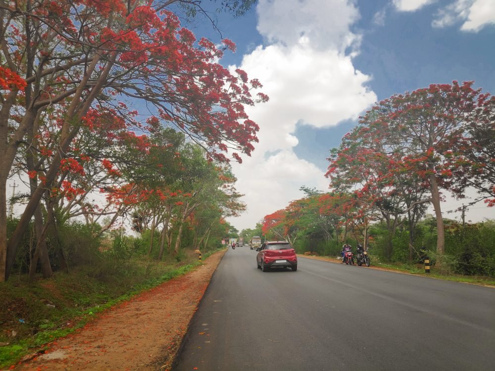 Nisargadhama And Harangi Backwaters The Jazzy Highway