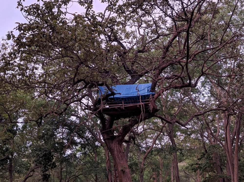 Tree Top Cottage Nisargadhama And Harangi Backwaters